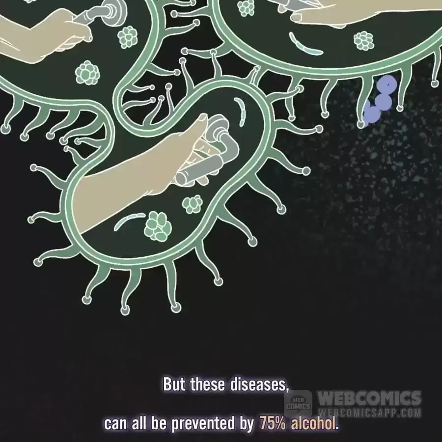 Fun Facts You Don