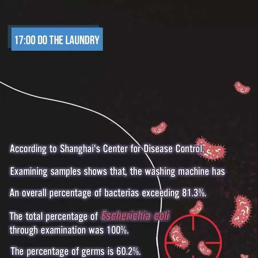 Fun Facts You Don