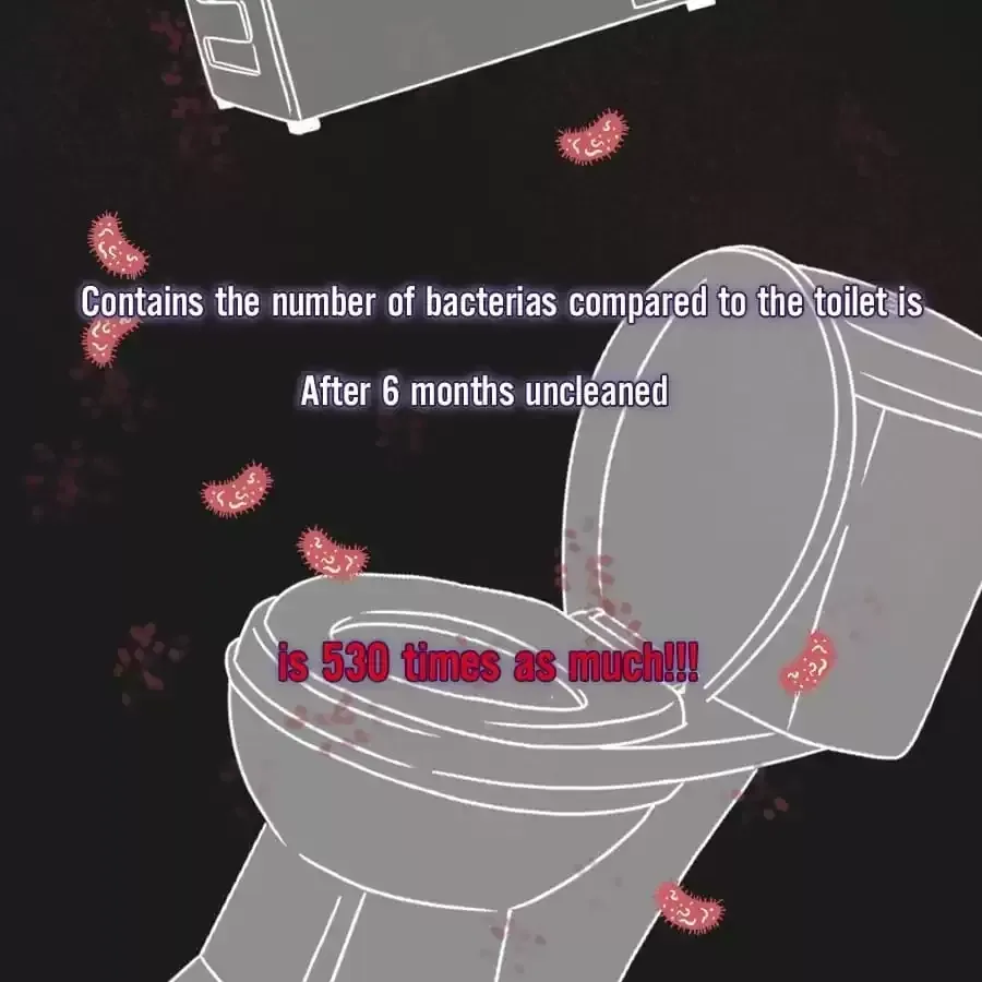 Fun Facts You Don