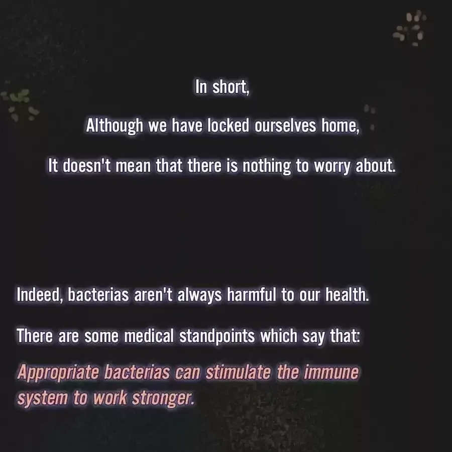 Fun Facts You Don