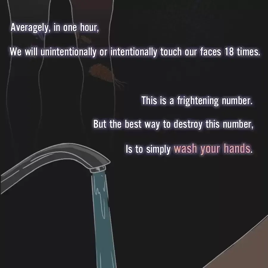 Fun Facts You Don