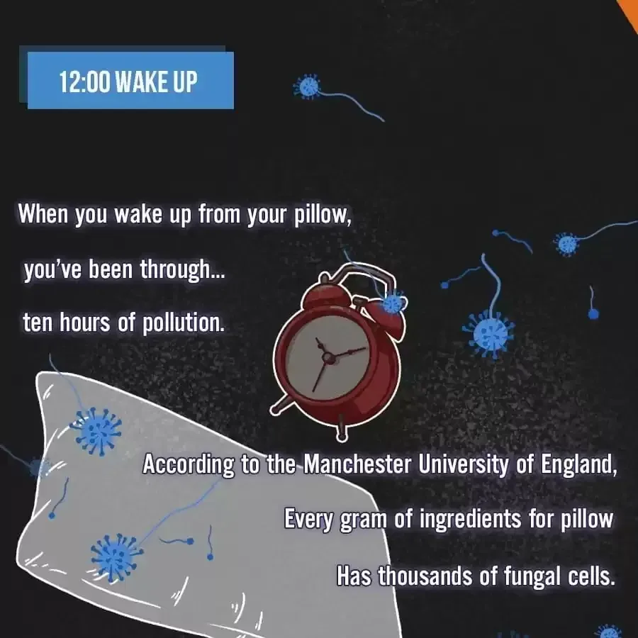 Fun Facts You Don