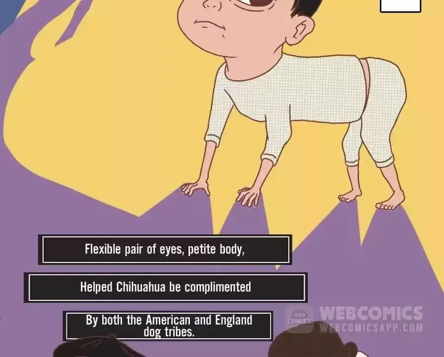 Fun Facts You Don