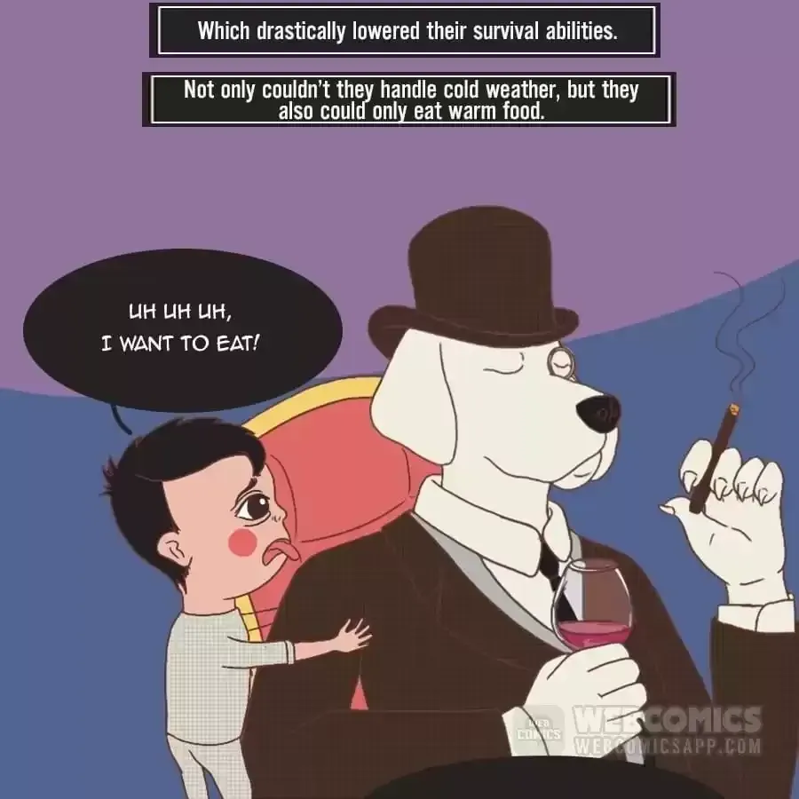 Fun Facts You Don