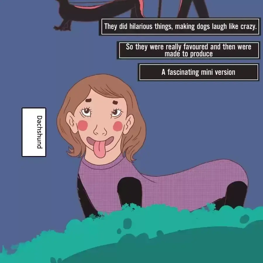 Fun Facts You Don