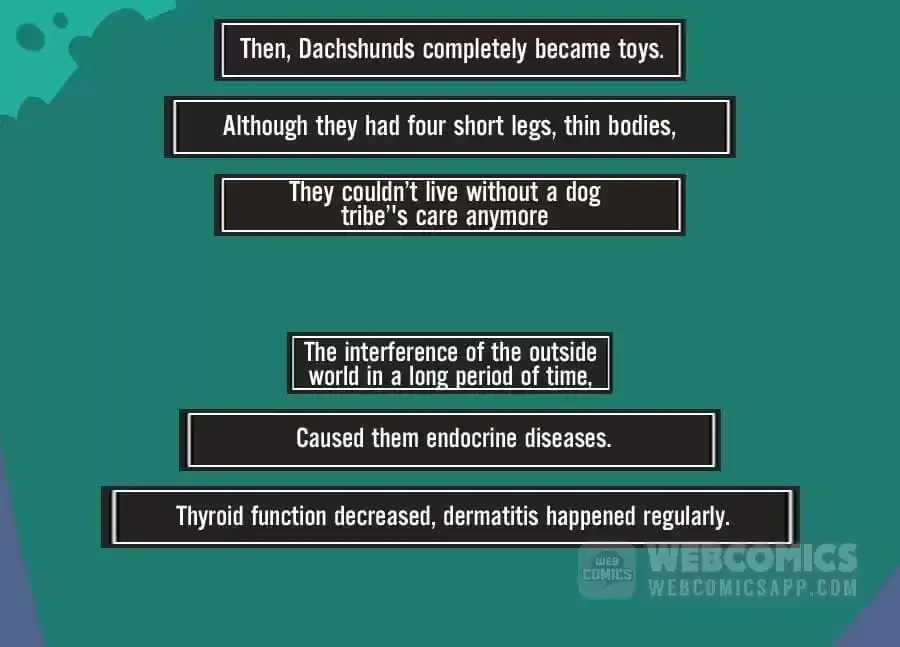 Fun Facts You Don