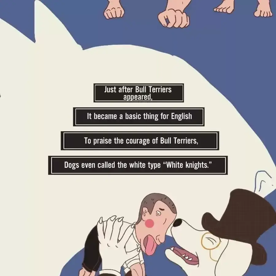 Fun Facts You Don