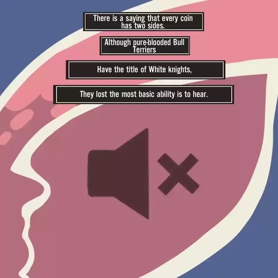 Fun Facts You Don
