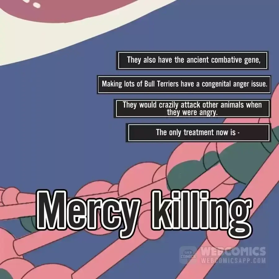 Fun Facts You Don