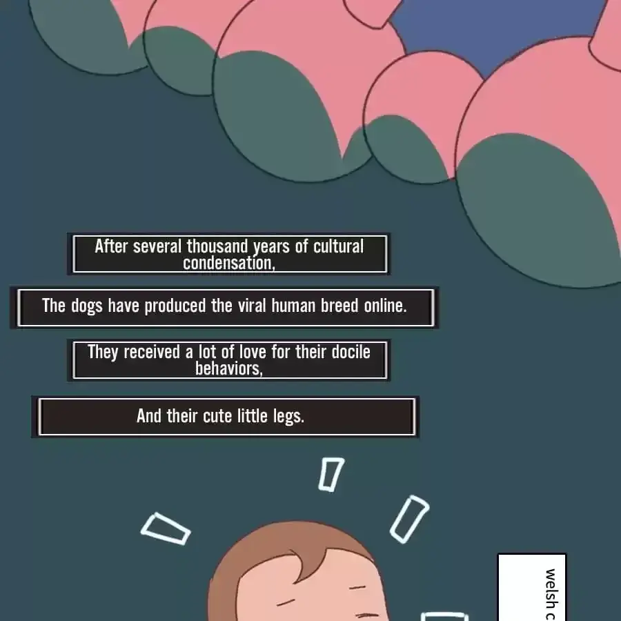 Fun Facts You Don