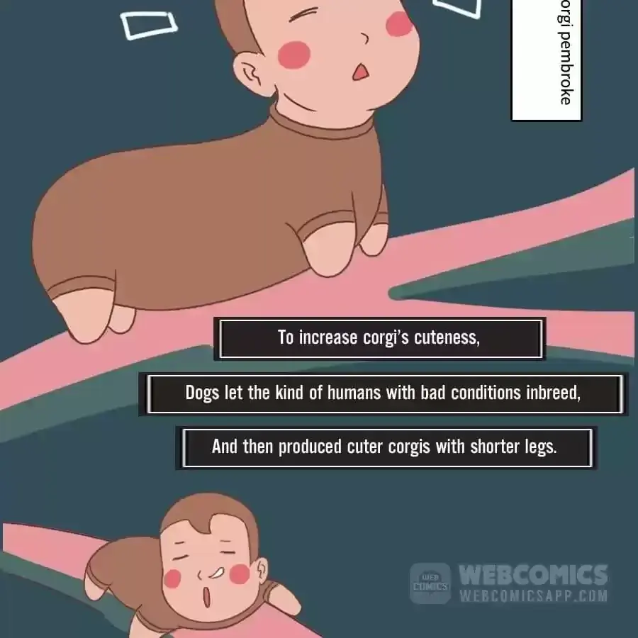 Fun Facts You Don