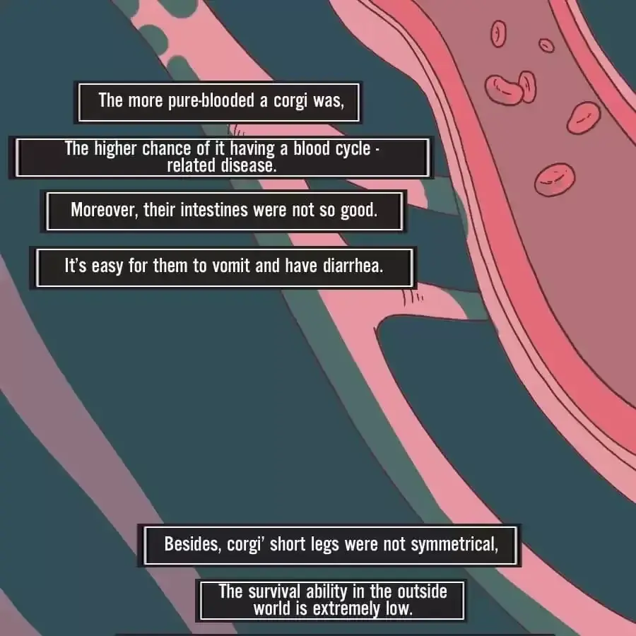 Fun Facts You Don