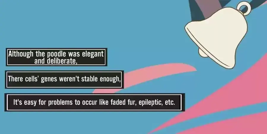 Fun Facts You Don