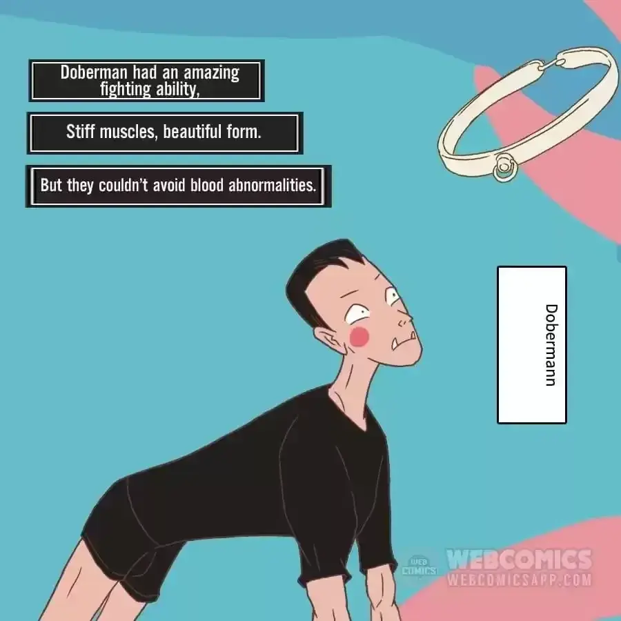 Fun Facts You Don
