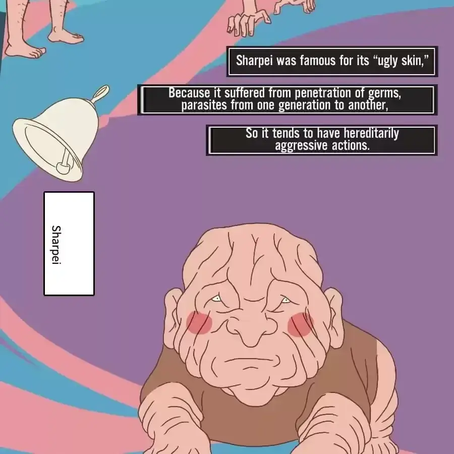 Fun Facts You Don