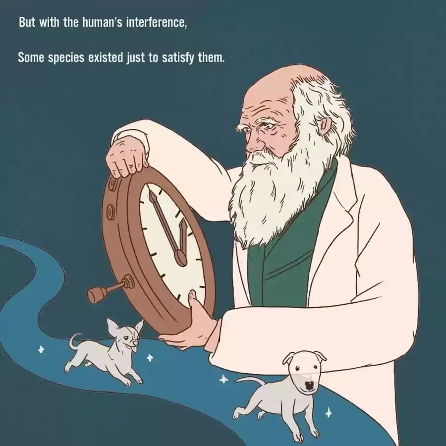 Fun Facts You Don