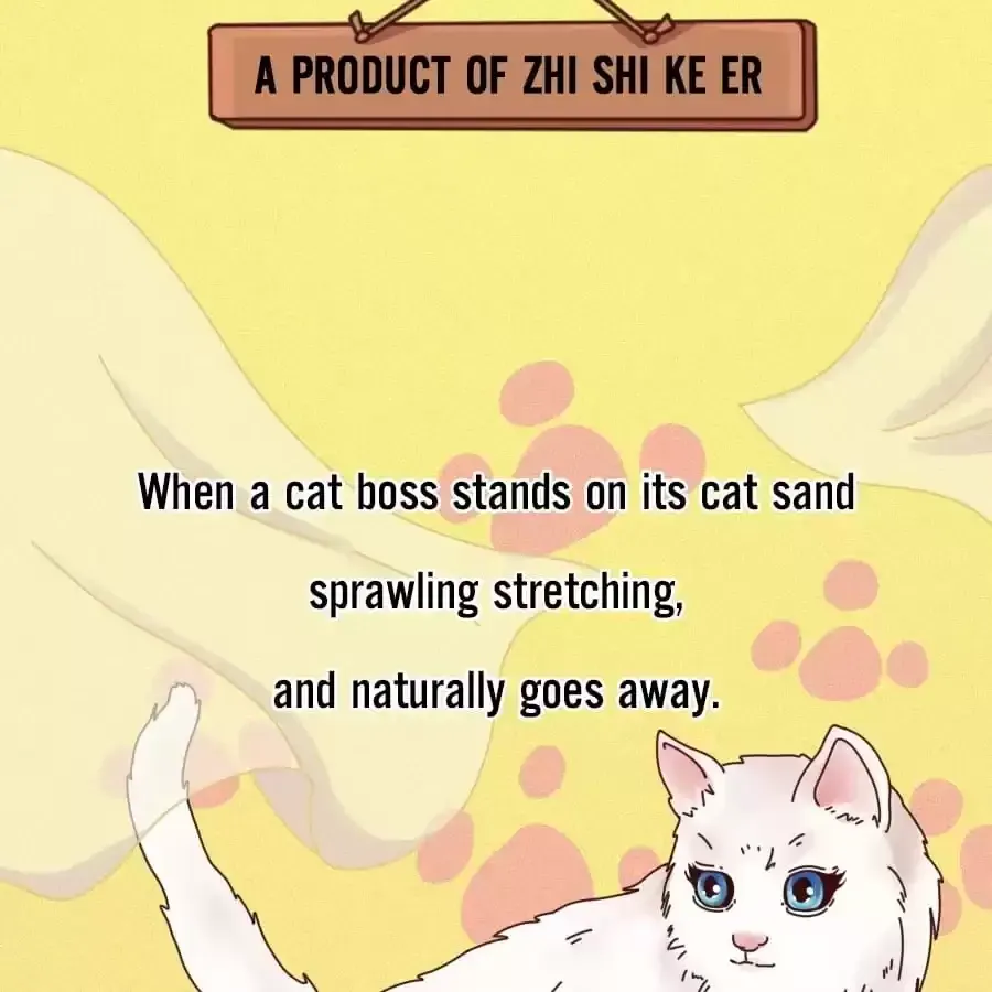Fun Facts You Don