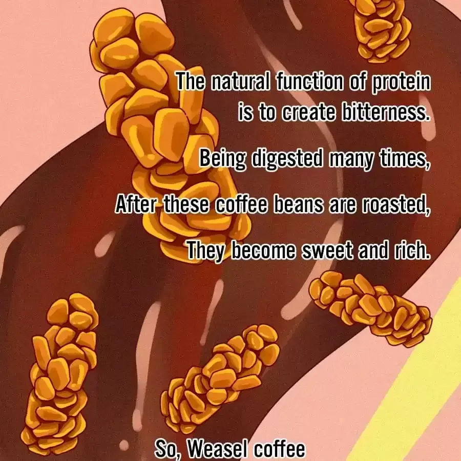 Fun Facts You Don