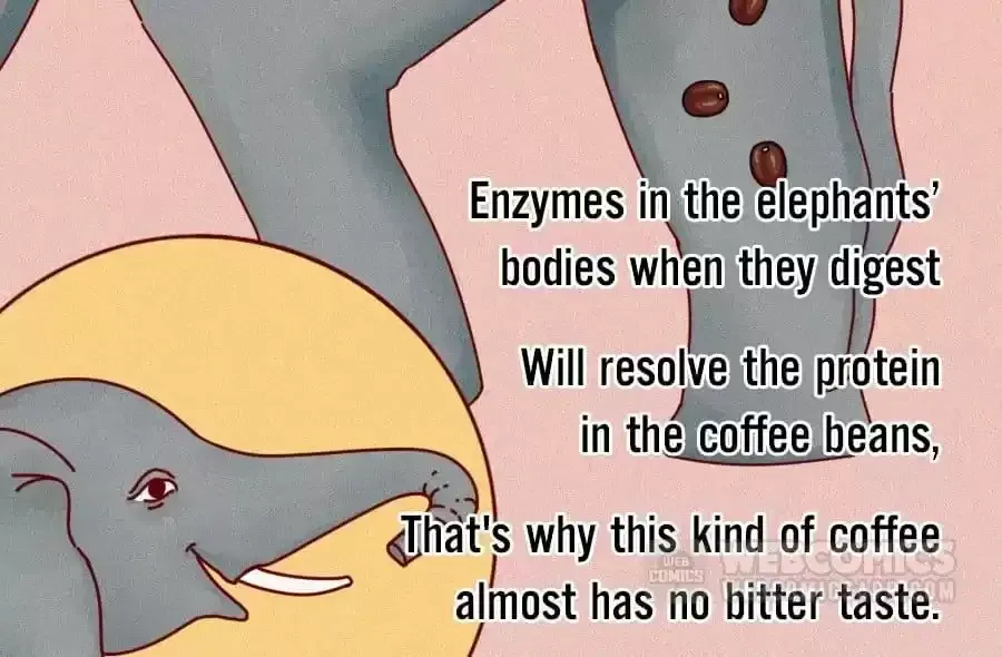 Fun Facts You Don