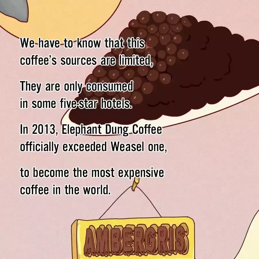 Fun Facts You Don
