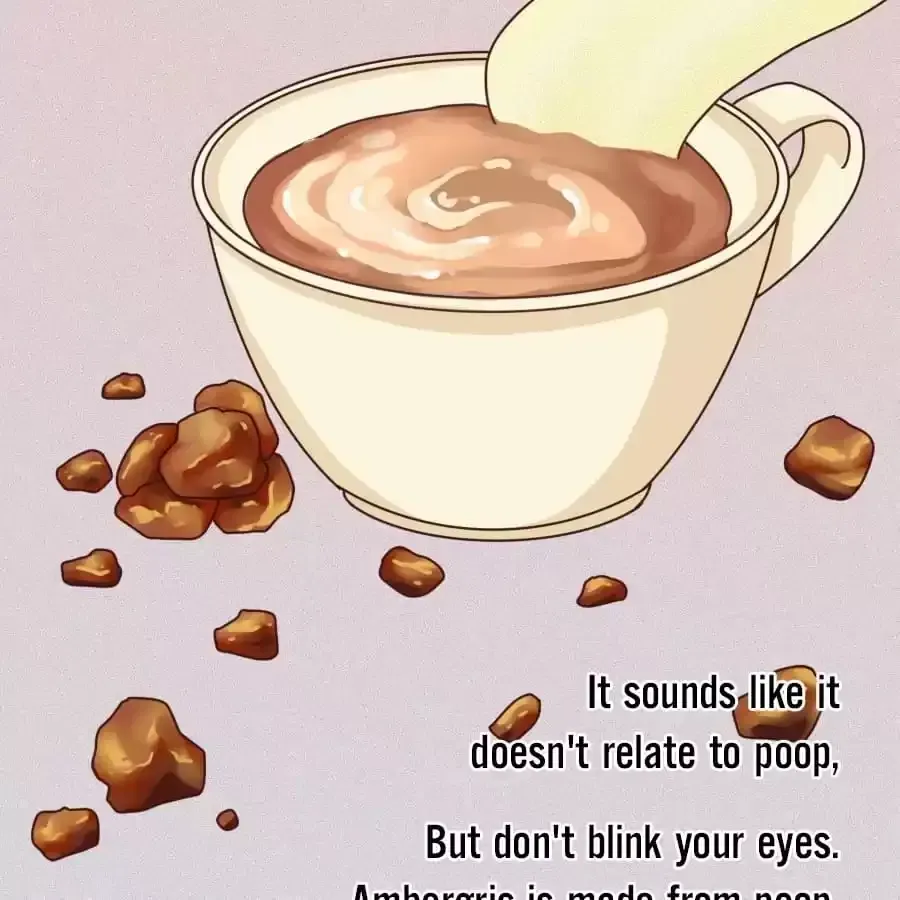 Fun Facts You Don