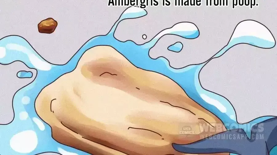 Fun Facts You Don