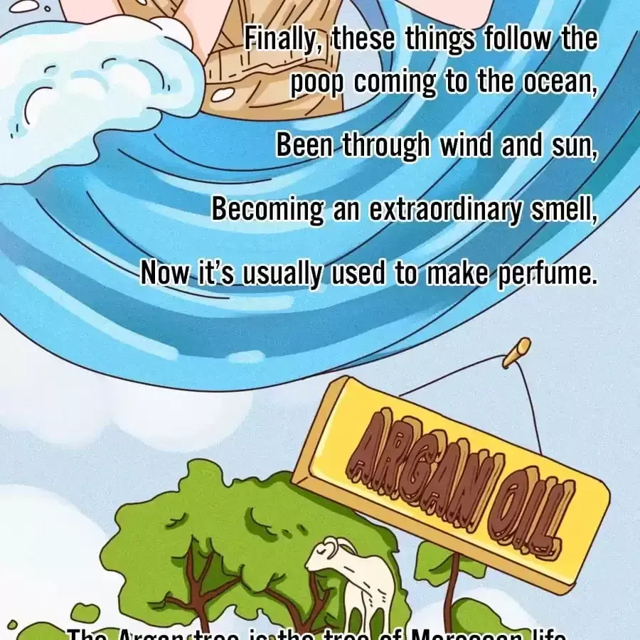 Fun Facts You Don