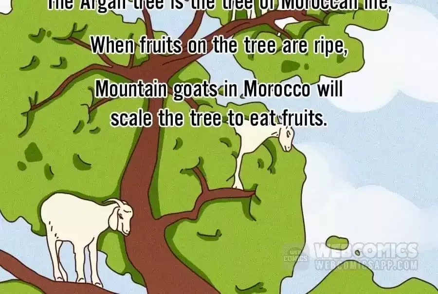 Fun Facts You Don
