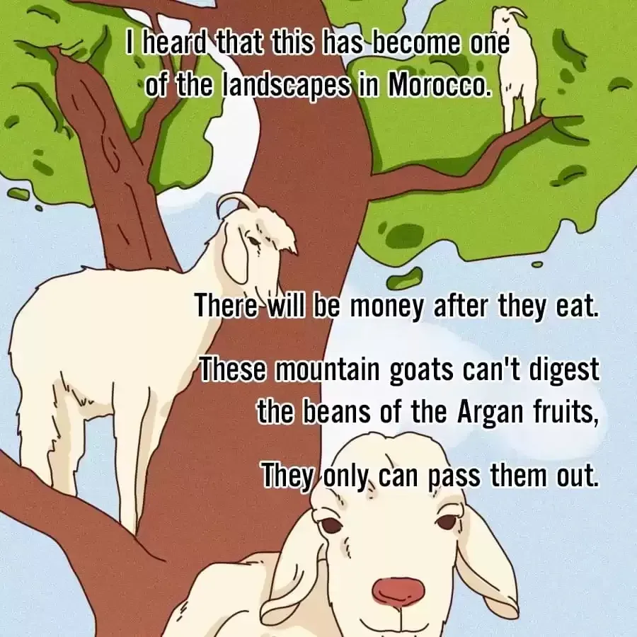 Fun Facts You Don