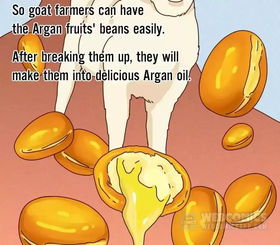 Fun Facts You Don