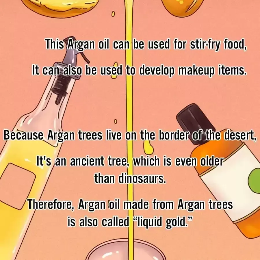 Fun Facts You Don