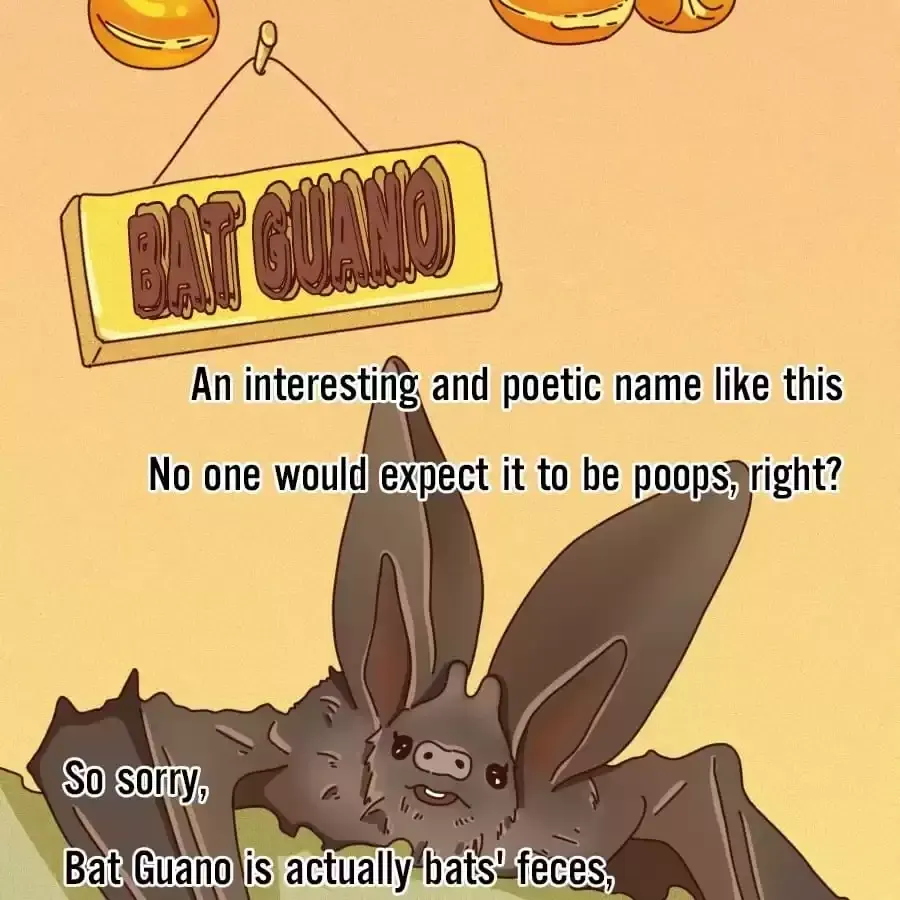 Fun Facts You Don