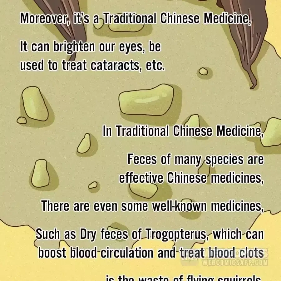 Fun Facts You Don