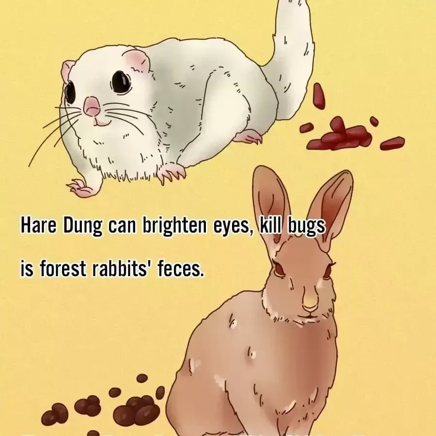 Fun Facts You Don