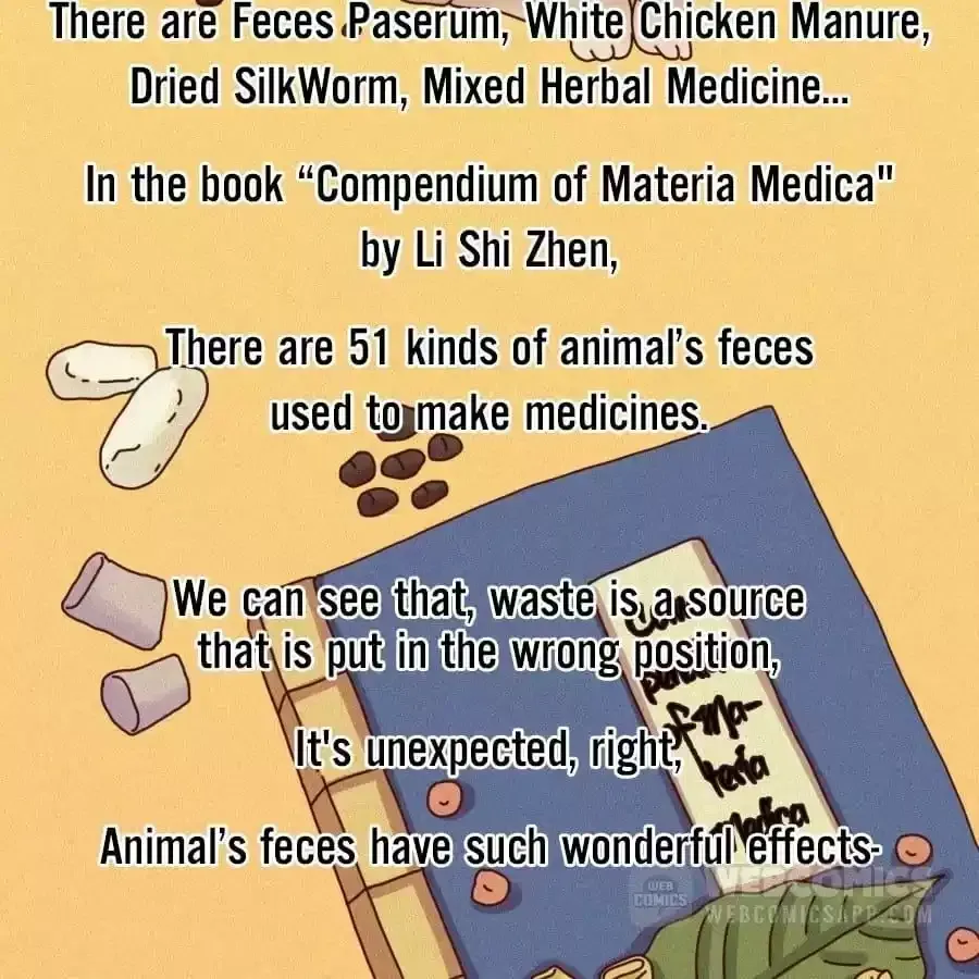 Fun Facts You Don
