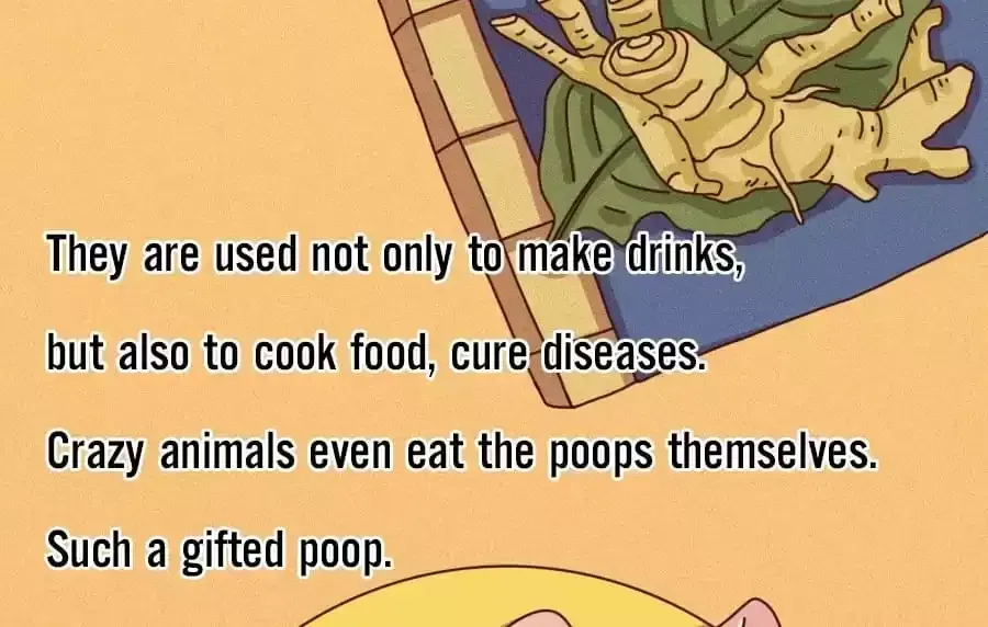 Fun Facts You Don