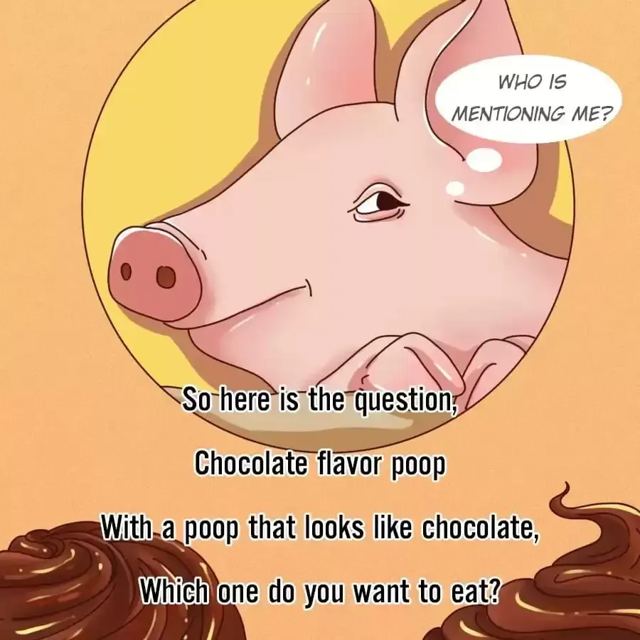 Fun Facts You Don
