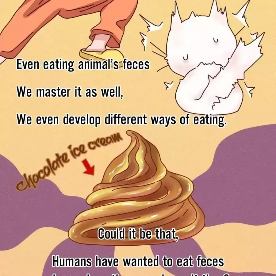 Fun Facts You Don