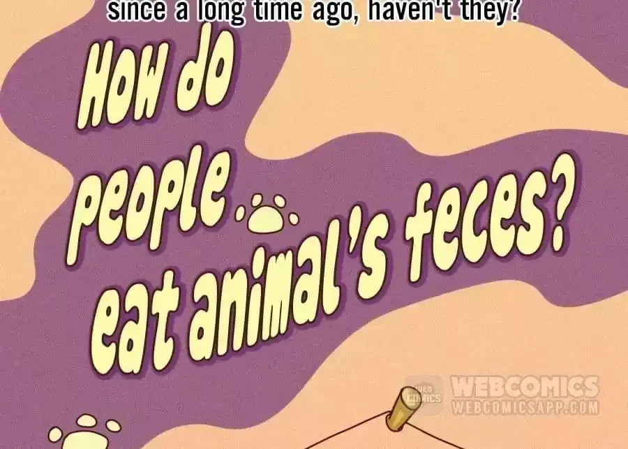 Fun Facts You Don