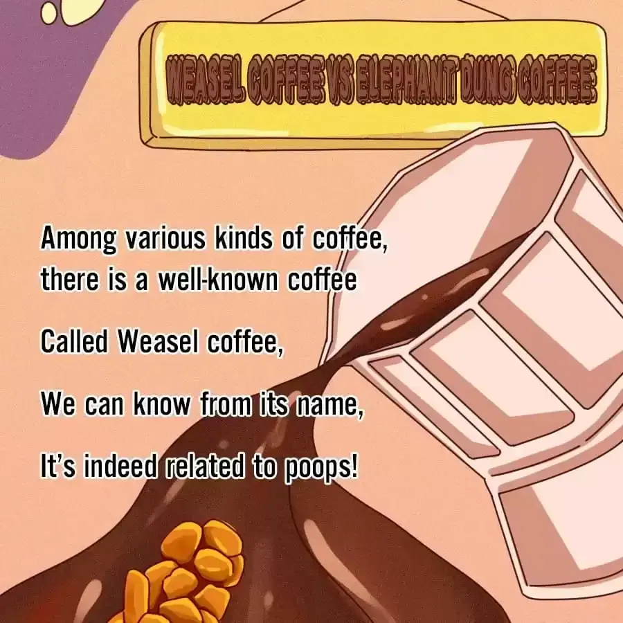 Fun Facts You Don
