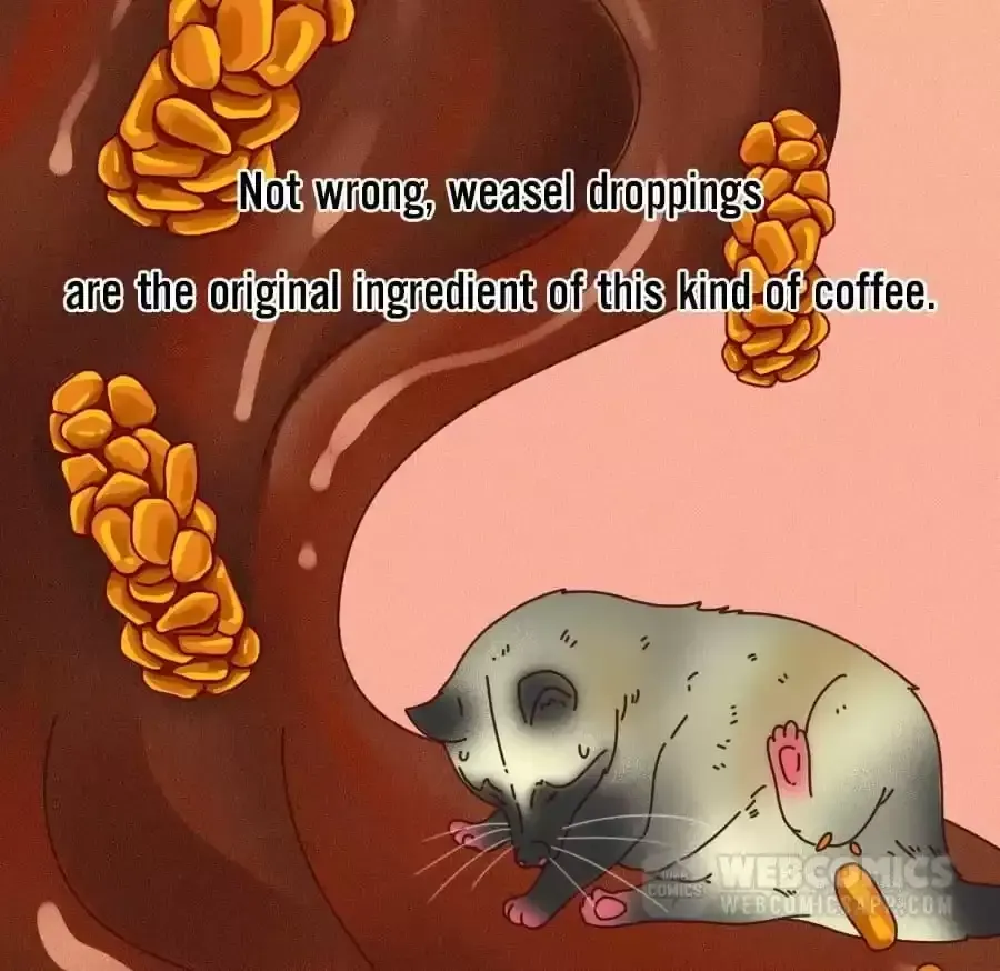 Fun Facts You Don