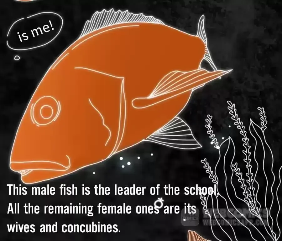 Fun Facts You Don