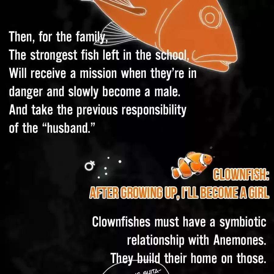 Fun Facts You Don