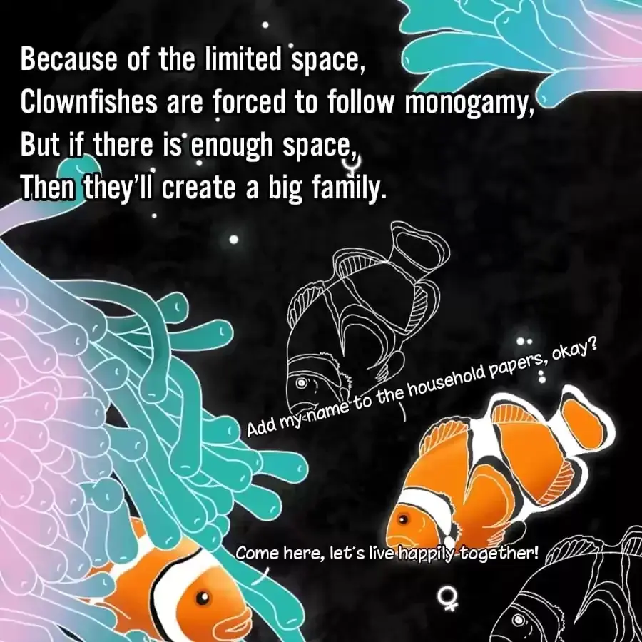 Fun Facts You Don
