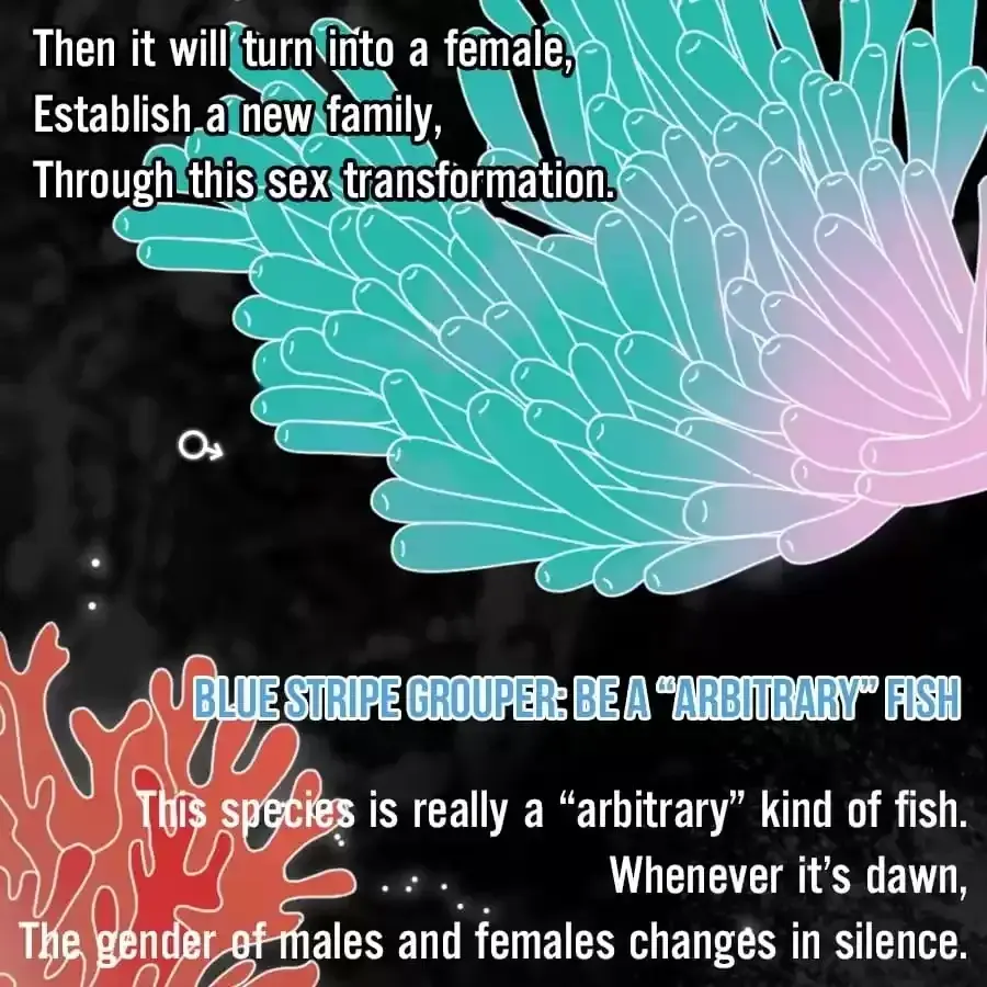 Fun Facts You Don