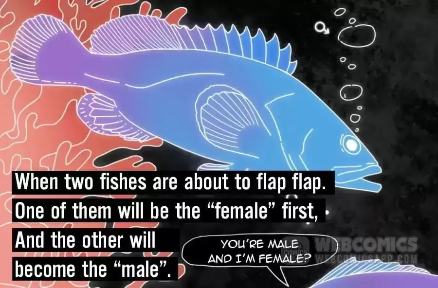 Fun Facts You Don