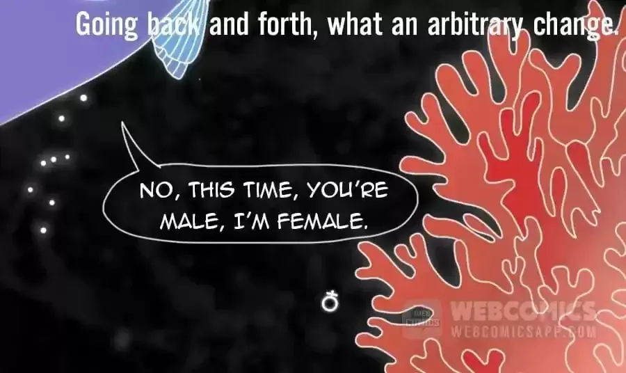 Fun Facts You Don