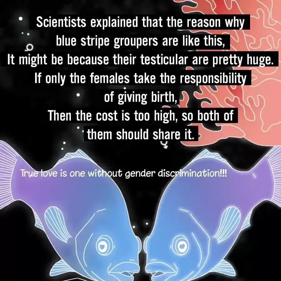 Fun Facts You Don