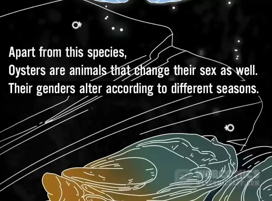 Fun Facts You Don