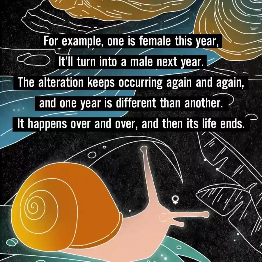 Fun Facts You Don